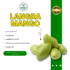 Langra Mango-Export Quality