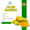 Fajri Mango-Export Quality