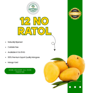 12 no Anwar Ratol Export Quality