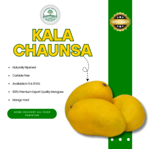 Kala Chaunsa Mango-Export Quality