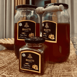 Wild Sidr (Beri) Small Honey