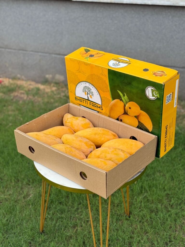 WhatsApp Image 2025-06-29 at 4.25.58 PM (1)