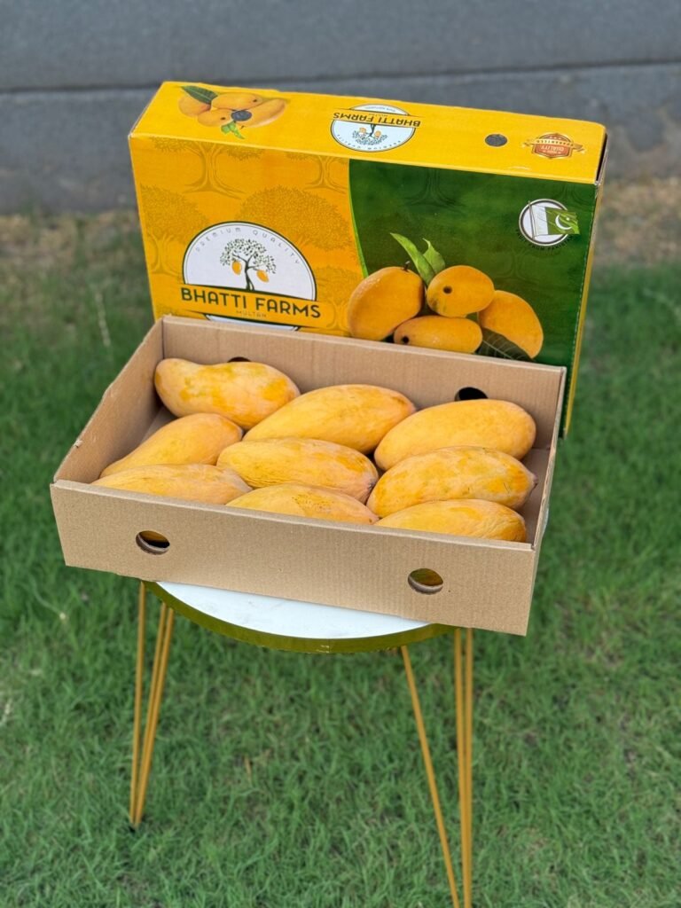 WhatsApp Image 2025-06-29 at 4.25.58 PM (2)