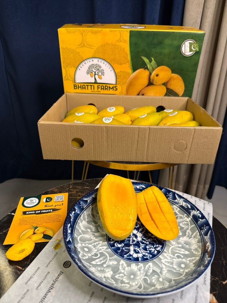 WhatsApp Image 2025-06-29 at 4.25.58 PM (3)