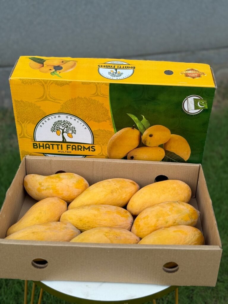 WhatsApp Image 2025-06-29 at 4.25.58 PM