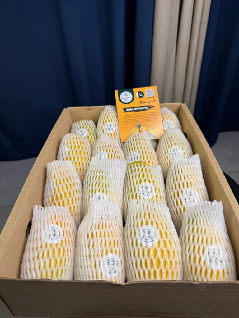 WhatsApp Image 2025-06-29 at 4.25.59 PM (1)