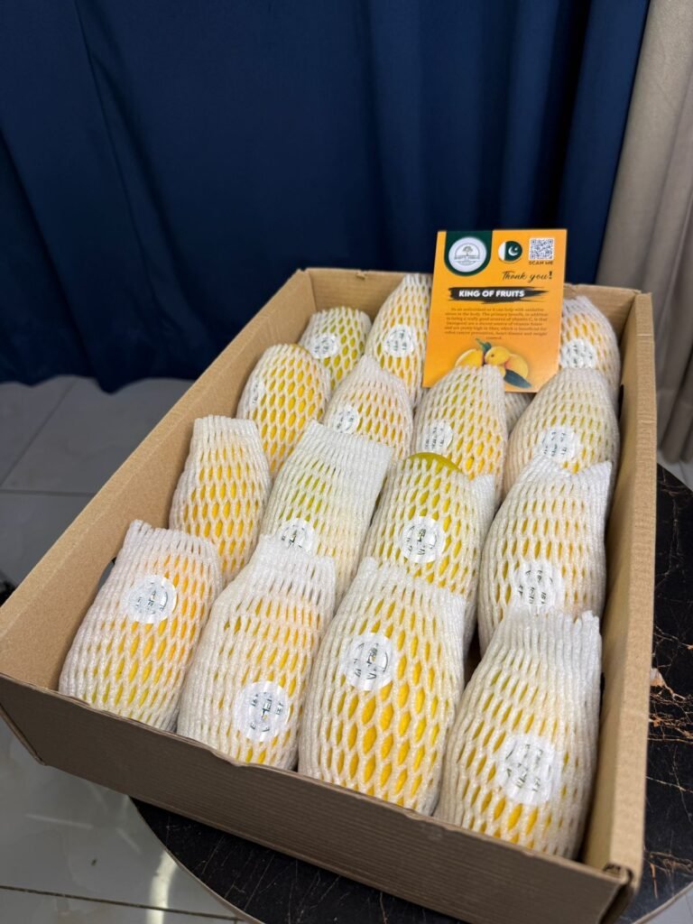 WhatsApp Image 2025-06-29 at 4.25.59 PM (2)