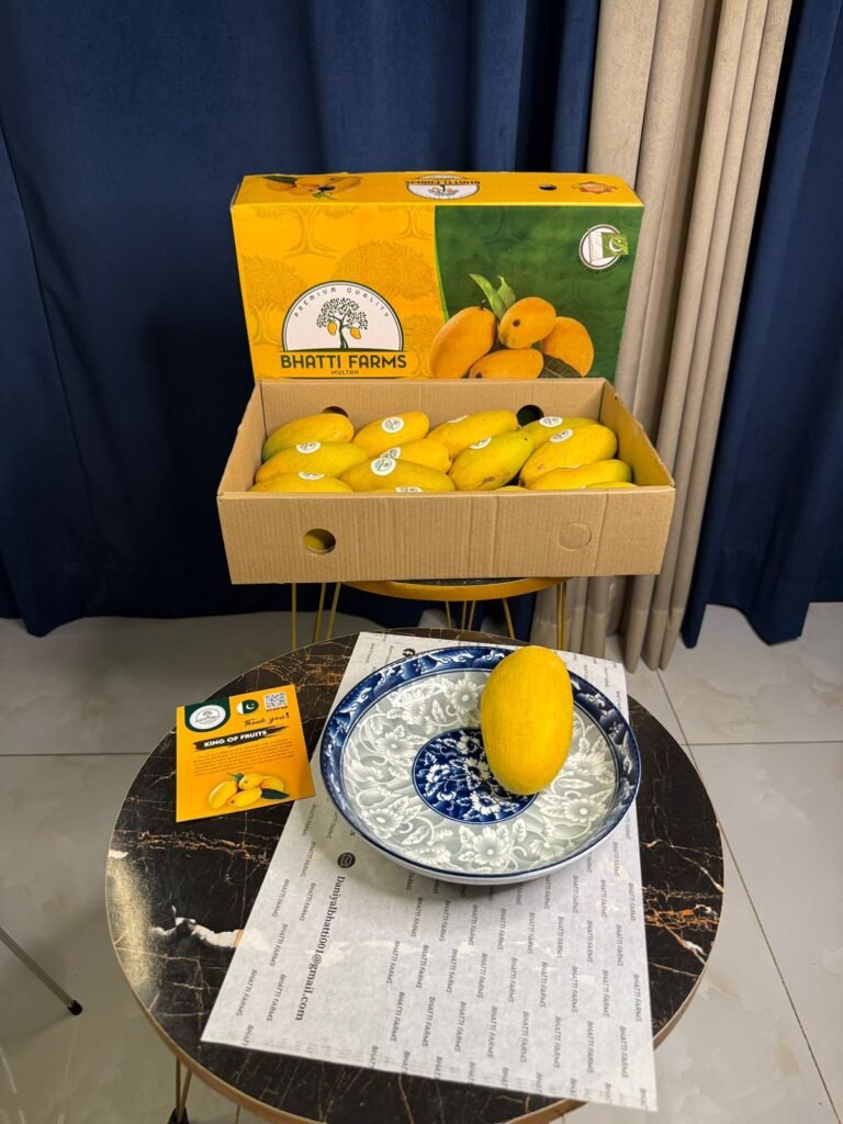 WhatsApp Image 2025-06-29 at 4.25.59 PM