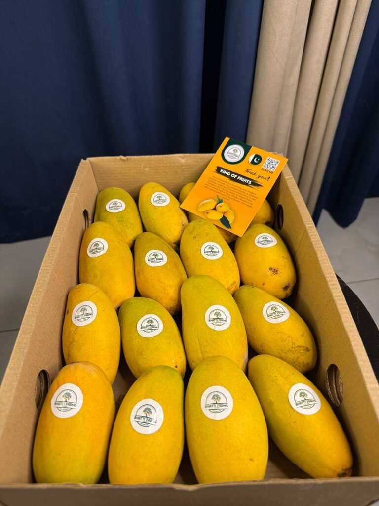 WhatsApp Image 2025-06-29 at 4.26.00 PM